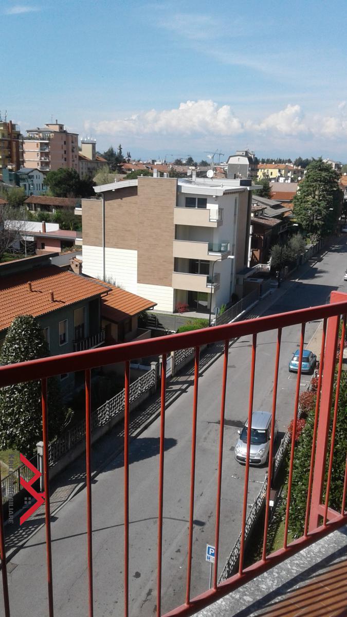 Appartamento CARUGATE vendita  Carugate  Krilo sas