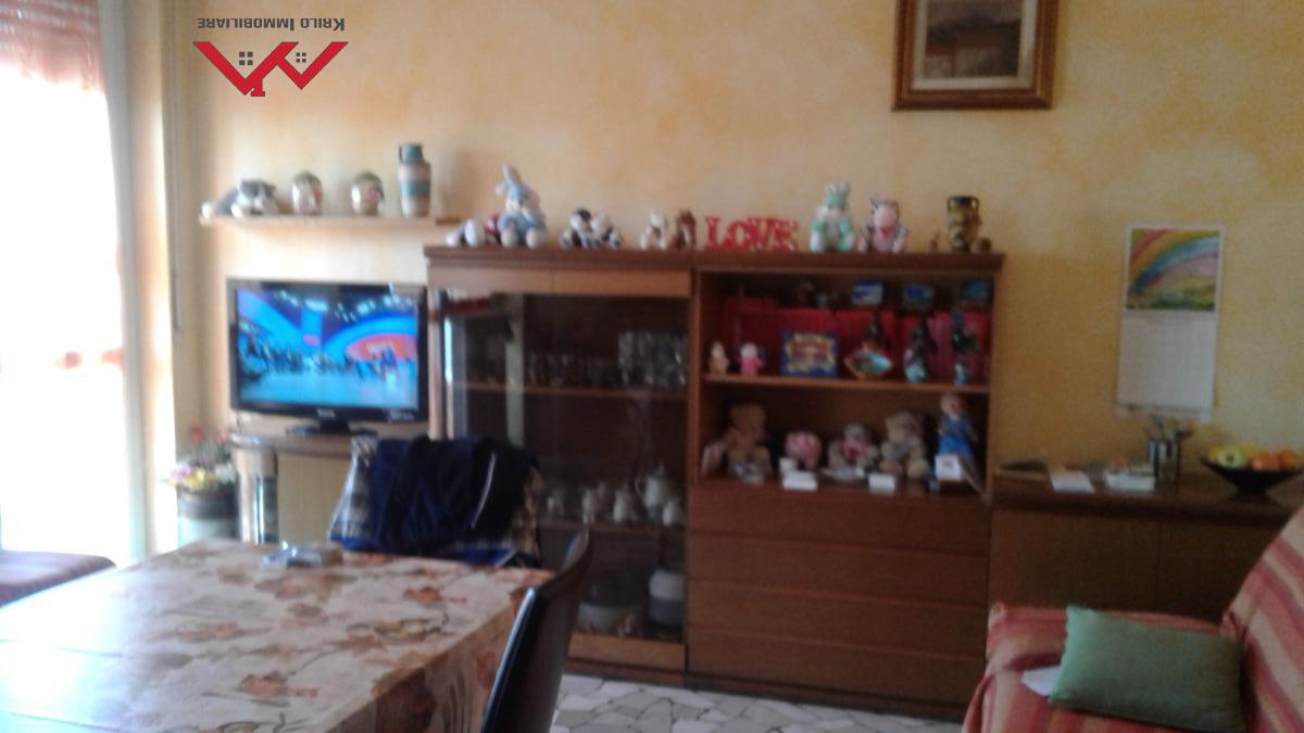 Appartamento CARUGATE vendita  Carugate  Krilo sas